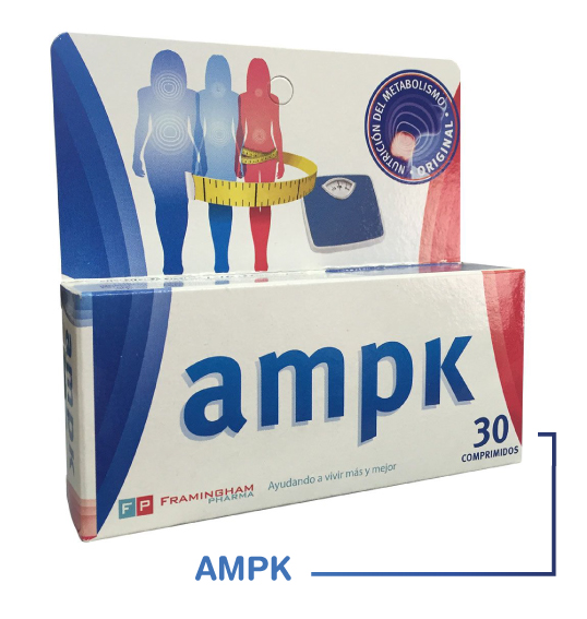 AMPK